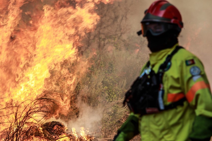 Portugalia zmaga się z pożarami lasów i nieużytków rolnych