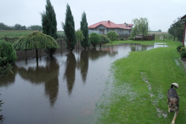 W gminie Skaryszew w Makowie na ulicy Krótkiej woda podtopiła posesje.