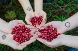 Te produkty leczą jak antybiotyk i zabijają pasożyty. Na pewno macie je w domu [PRZEGLĄD]