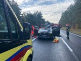 Wypadek w Małej Nieszawce na drodze krajowej nr 15. Sarna nie przeżyła zderzenia z samochodem