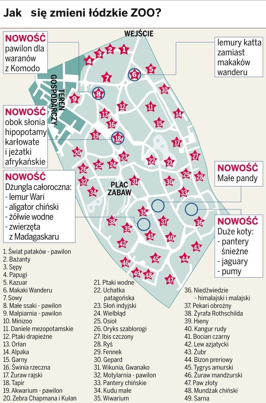 Nowa strategia dla zoo przyjęta. Jak się zmieni łódzki ogród? [ZDJĘCIA]