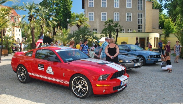 Fot: Mustang Race