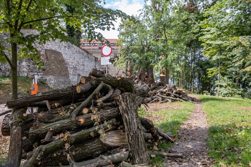 Tak wygląda wjazd do opactwa tynieckiego. Skutki niedawnej nawałnicy