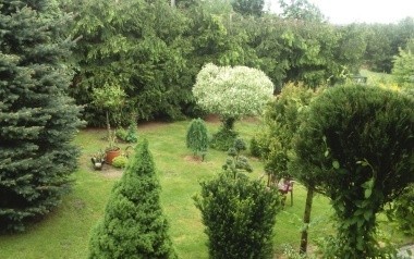 Ogród Anny Witkowskiej z Kielc