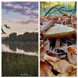 Roztocze jesienią - zobacz jak jest pięknie i kolorowo