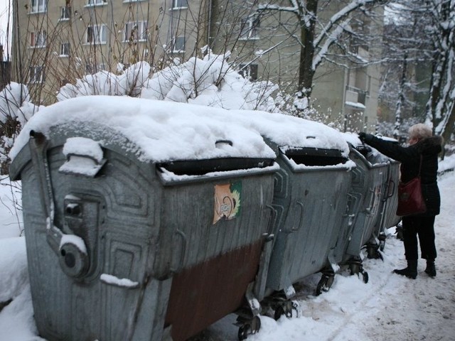 W 2013 roku zapewne będziemy wrzucać śmieci do tych samych pojemników, tyle że zapłacimy za to 14,70 zł lub 20 zł miesięcznie. 