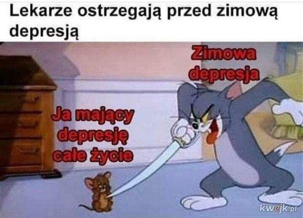 Zobacz najlepsze, zimowe MEMY. Memy o zimie robią furorę w...