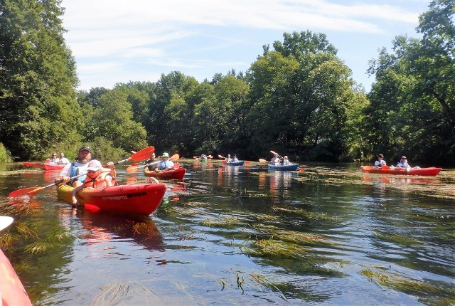 Dużą popularnością cieszą się bezpłatne dla uczestników spływy kajakowe rzeką Brda lub Kanałem Bydgoskim z cyklu "Zostań Turystą w Swoim Mieście".