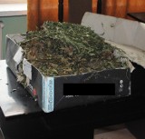 Policjanci z Piotrkowa Trybunalskiego zatrzymali dilera narkotyków. Miał 2 kg marihuany [ZDJĘCIA]