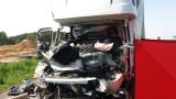 Wypadek na DK5: Ładunek drewna zmiażdżył kabinę. Zginął kierowca iveco [ZDJĘCIA]