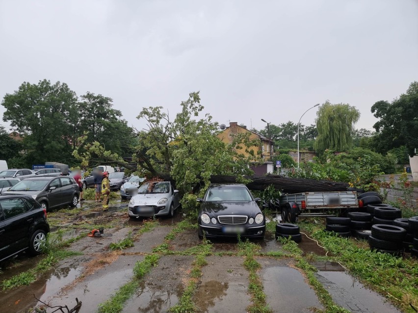 Podczas burzy w Przemyślu drzewo runęło na komis samochodowy. Kilka aut zostało zniszczonych [ZDJĘCIA]