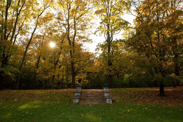 Park Bednarskiego na krakowskim Starym Podg&oacute;rzu