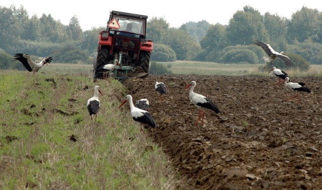 70 procent powierzchni woj. lubelskiego to grunty rolne. To najwyższy wskaźnik w Polsce