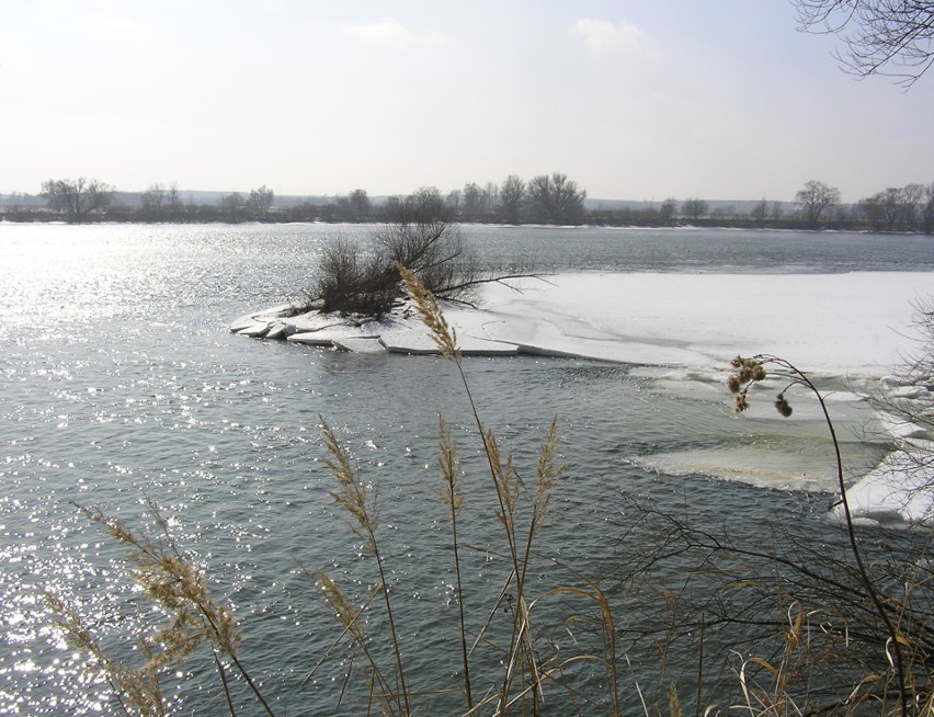 Widok na zakole Wisły u południowego brzegu Kępy...