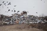 Komsomolska Prawda i firma z wysp Marshalla chcą odbierać śmieci z Opola