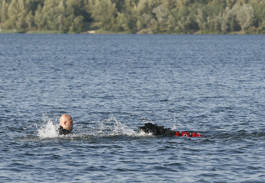 Psy ratownicze ćwiczą na Pogorii III w Dąbrowie Górniczej