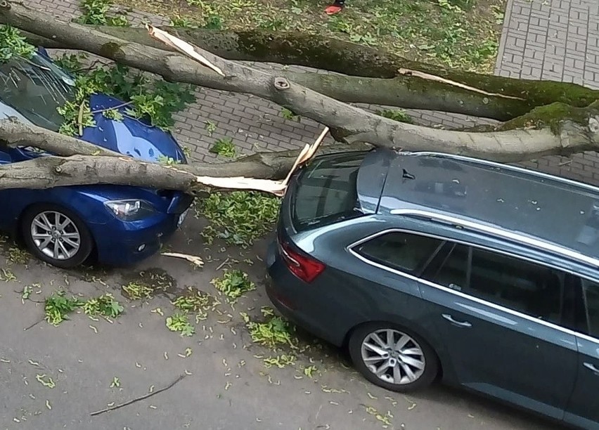 Do najpoważniejszej sytuacji doszło po godzinie 10 przy...