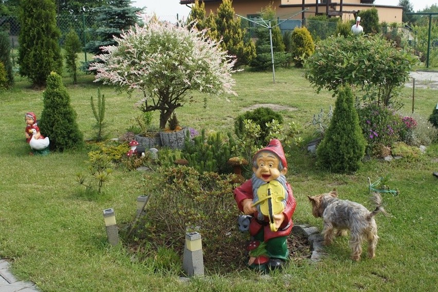 W Mszanie szukają najpiękniejszego ogrodu