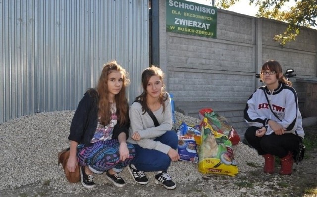 Wolontariuszki buskiej "budowlanki" odwiedzily schronisko dla bezdomnych zwierząt przy ulicy Langiewicza.