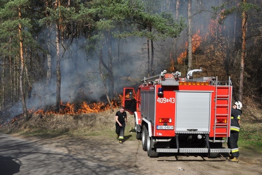 Pożar w Sławkowie prawdopodobnie jest dziełem podpalacza.