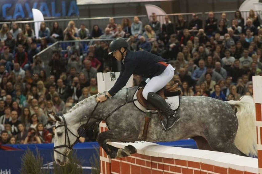 Cavaliada i potęga skoków na poznańskich targach