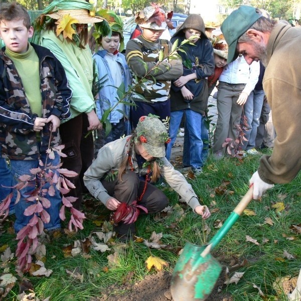 Uczennica gimnazjum imienia Małego Księcia z pomocą Kazimierza Jajko z zieleni miejskiej, sadzi młody świerk.