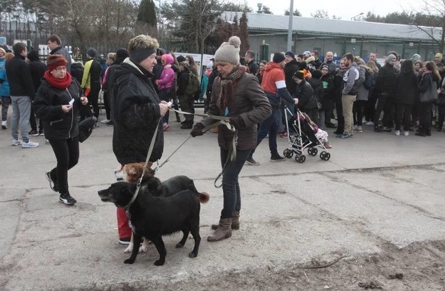 W ubiegłorocznej akcji Bieg na 6 Łap w radomskim schronisku dla zwierząt przy ulicy Witosa wzięły udział tłumy mieszkańców.