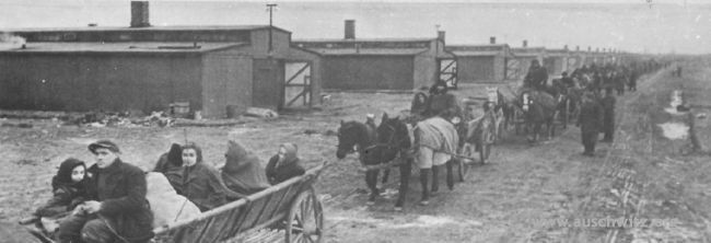 Wywożenie wyzwolonych więźniów z terenu dawnego KL Auschwitz...