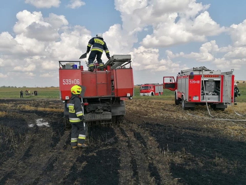 Tragiczny wypadek w Mirowicach - mężczyzna zginął w pożarze prasy do słomy na polu [ZDJĘCIA]