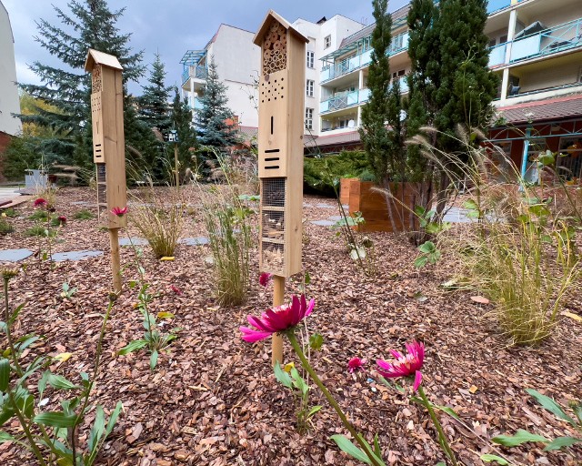 W ramach realizacji zielonych projektów zostaną postawione hotele dla dzikich pszczół i innych owadów.