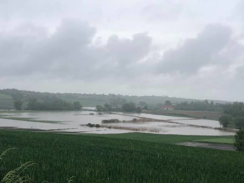 Tysiące hektarów upraw zalanych w Świętokrzyskiem. Rolnicy zgłaszają szkody do gmin 