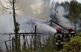 Pożar na jednej z działek ogrodniczych w Słupsku (wideo, zdjęcia)