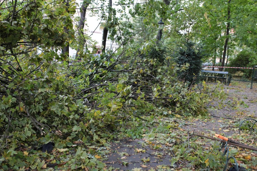 Orkan Ksawery w Krakowie. Wielkie sprzątanie na Plantach [ZDJĘCIA]