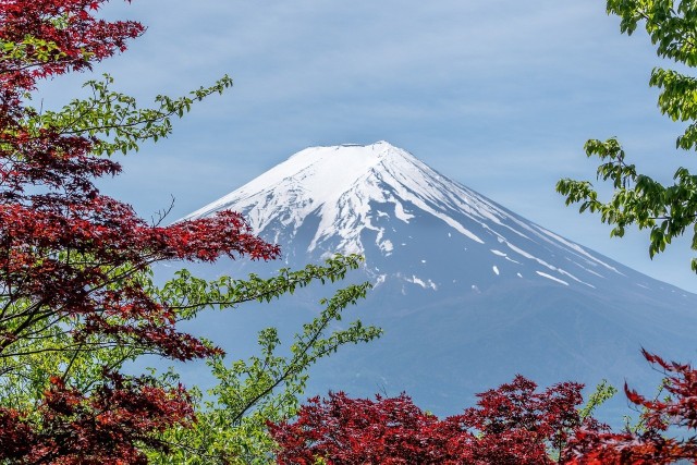 W jednym z najbardziej popularnych miejsc do fotografowania najwyższej góry Japonii, Fudżi, stanie zasłaniający ją wielki ekran.