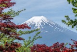 Japończycy walczą z turystami. Zasłonią słynny wulkan Fudżi