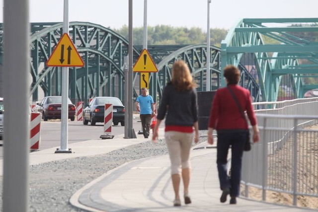 Drzewa, w ramach nasadzeń zastępczych za wycinkę na Stogach, mają zostać posadzone przy Al. Żołnierzy Wyklętych.