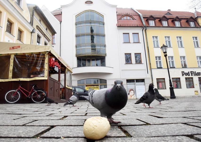 Puste lokale na zielonogórskim deptaku. Od lat mówi się o...