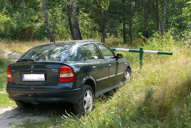 Za wjazd autem do lasu w niedozwolonym miejscu kierowcy grozi 500 - złotowy mandat.
