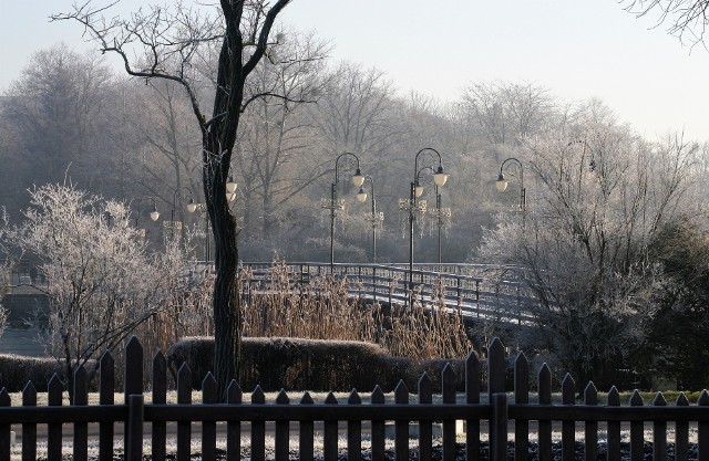Zima obsypała Solanki szronem. Park wygląda pięknie.