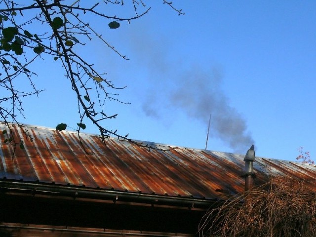 Dym ulatniający się z komina pijalni piwa na Placu Piłsudskiego przy niżu atmosferycznym potrafi zasłonić całą okolicę, tak że trudno złapać oddech.
