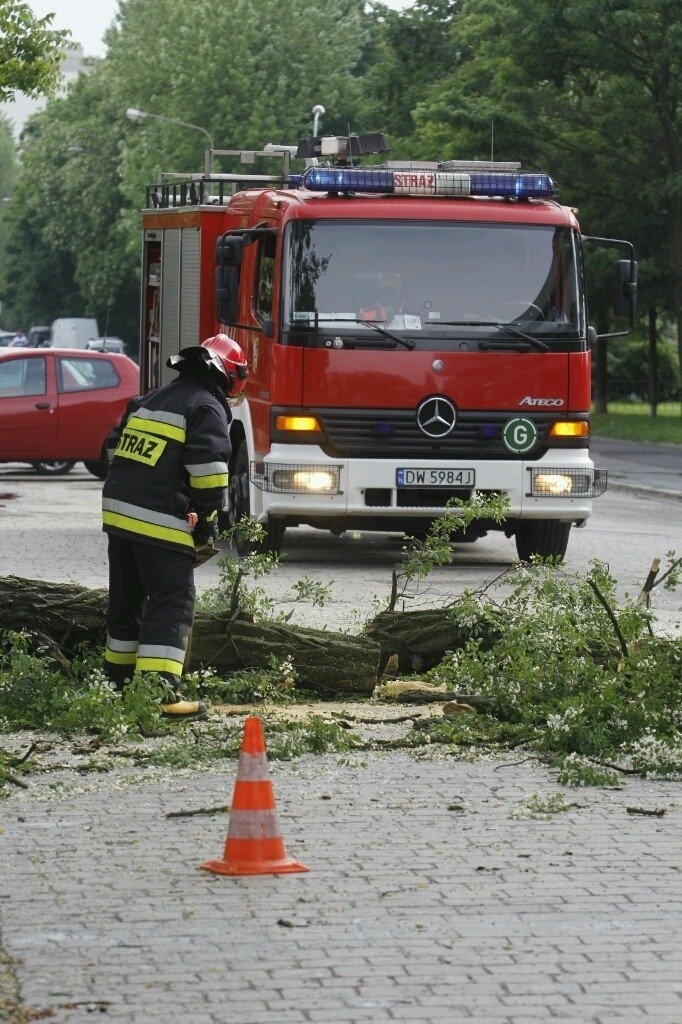 Wrocław: Drzewo przewróciło się na ulicę Litomską (ZDJĘCIA)