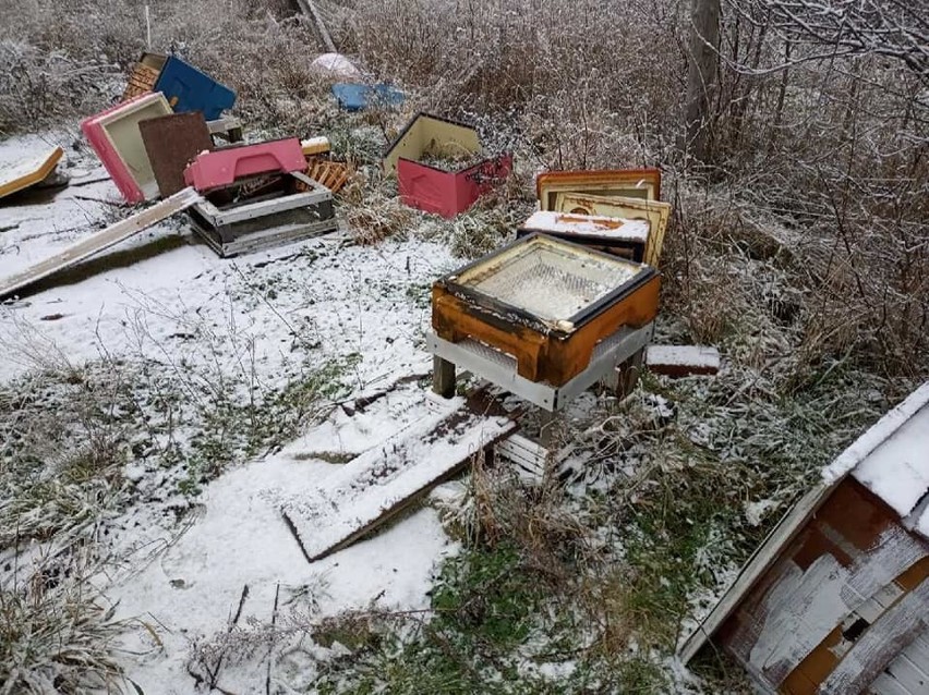 Kilkanaście uli zostało kompletnie zdewastowanych, a tysiące...