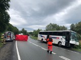 Witowice Górne. Śmiertelny wypadek na DK 75. Dwóch chłopców walczy o życie w szpitalu w Krakowie, prokuratura prowadzi śledztwo[ZDJĘCIA]