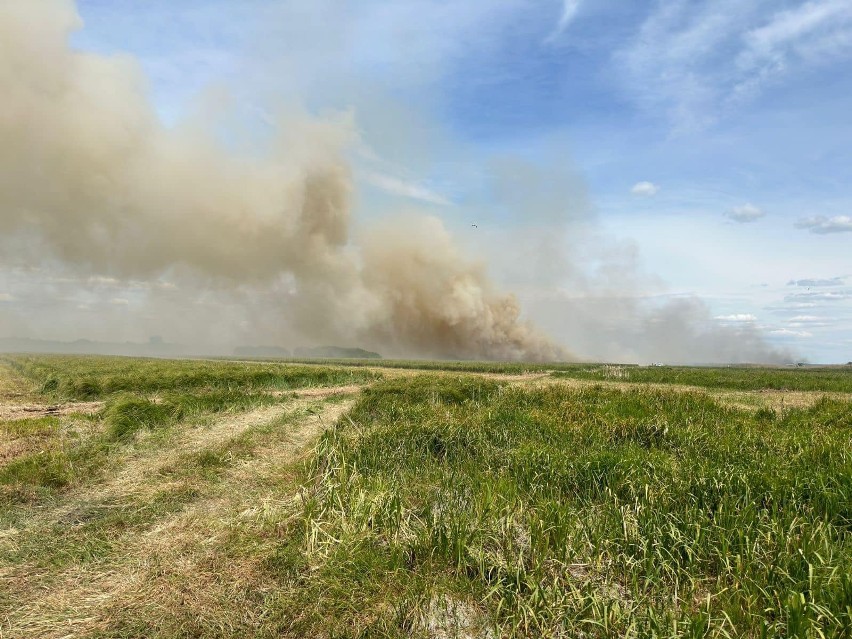Do pożaru kilkunastu hektarów łąk doszło w miejscowości...
