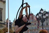 Busker Tour we Wrocławiu. Zobacz niesamowite występy cyrkowe ulicznych artystów z całego świata