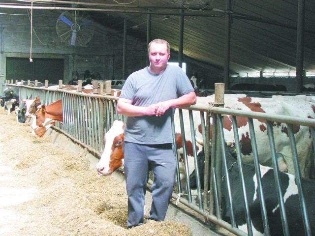Skup mleka. Czy znowu nasi rolnicy będą musieli płacić kary?Daniel Samulski woli przekroczyć swoją kwotę mleczną niż ograniczyć produkcję. – Trzeba patrzeć w przyszłość – mówi.