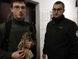 Mieszkańcy Sępólna nie są obojętni na cierpienie zwierząt. Uratowali uszatkę! 
