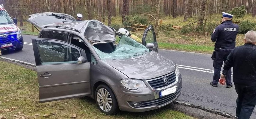 Kierowca volkswagena potrącił jelenia
