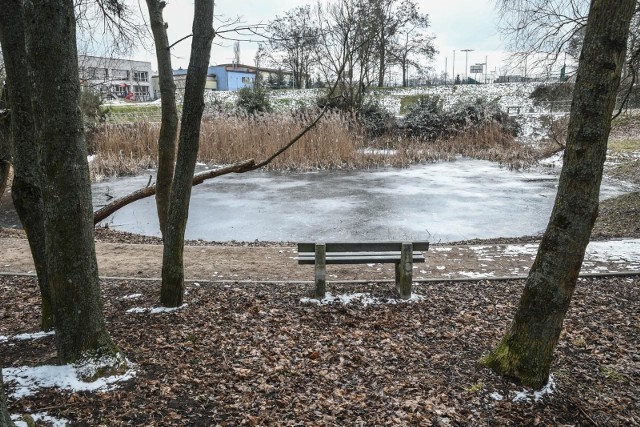 W ostatniej edycji BBO zwyciężył projekt związany z rewitalizacją stawów przy ul. Wielorybiej.