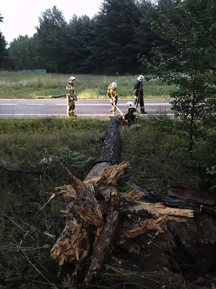 Potężne burze nad powiatem koneckim. Wiele złamanych drzew. Jedno spadło na drogę krajową numer 74 